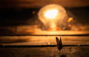 Γιατί τα έντομα πετούν γύρω από το φως; Αυτά τα βίντεο δίνουν εξήγηση