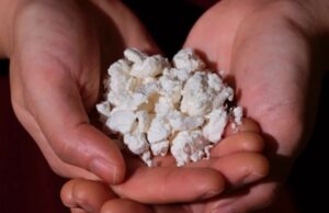 Βακτήρια μετατρέπουν πλαστικά απόβλητα σε μετάξι