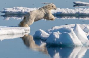 Αρκτική: Σε λίγα χρόνια μπορεί να μένει χωρίς πάγο τα καλοκαίρια