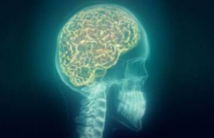 Επιστημονική έρευνα έδειξε πως η φτώχεια έχει αρνητικές επιπτώσεις για τον ανθρώπινο εγκέφαλο