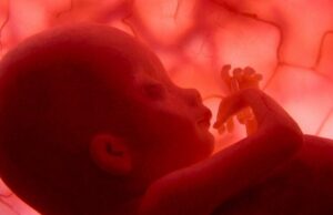 Ωάρια από δερματικά κύτταρα δίνουν βιώσιμα έμβρυα