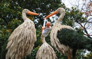 Η πρώτη μεταμόσχευση ιστού ωοθηκών σε κρυοσυντήρηση έφερε τον «πελαργό»