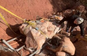 Πήγαινε βόλτα τον σκύλο του, ανακάλυψε ολόκληρο τιτανόσαυρο