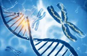 Εντοπίστηκε για πρώτη φορά μετά από ένα δισ. έτη συγχώνευση δύο διαφορετικών μορφών ζωής