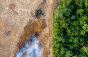 Τροπικά δάση: «Μια ολόκληρη Ελβετία» χάθηκε (και) πέρυσι