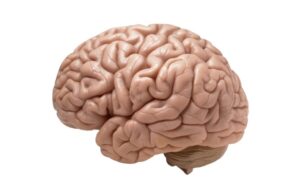 Αλτσχάιμερ: Η τεχνολογία του mRNA προσφέρει νέα προσέγγιση