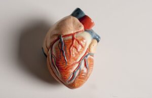 Έμφραγμα: Βιοεμφύτευμα από κύτταρα του ομφαλίου λώρου σώζει ζωές