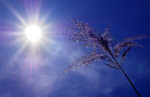 Ο Μάρτιος του 2024 ήταν ο 10ος μήνας κατά τον οποίο καταρρίφθηκε παγκόσμιο ρεκόρ υψηλών θερμοκρασιών