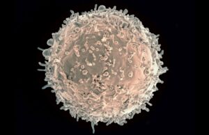 Δημιούργησαν τεχνητά κύτταρα ίδια με τα ανθρώπινα!