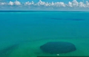 Τι κρύβει η μεγαλύτερη θαλάσσια τρύπα της Γης; (βίντεο)