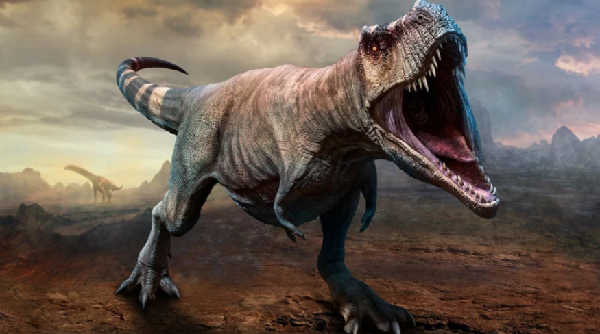 Οι επιστήμονες μάλλον έκαναν λάθος για τον T-Rex