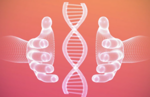 Η AI της Google μπορεί να μοντελοποιήσει DNA και RNA όλων των μορφών ζωής