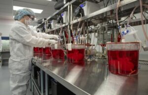 Πέθανε ο πρώτος ασθενής που έλαβε γενετικά τροποποιημένο νεφρό χοίρου