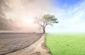 AtmoHub και ClimateHub: Νέα εργαλεία για την αντιμετώπιση των προκλήσεων της κλιματικής κρίσης