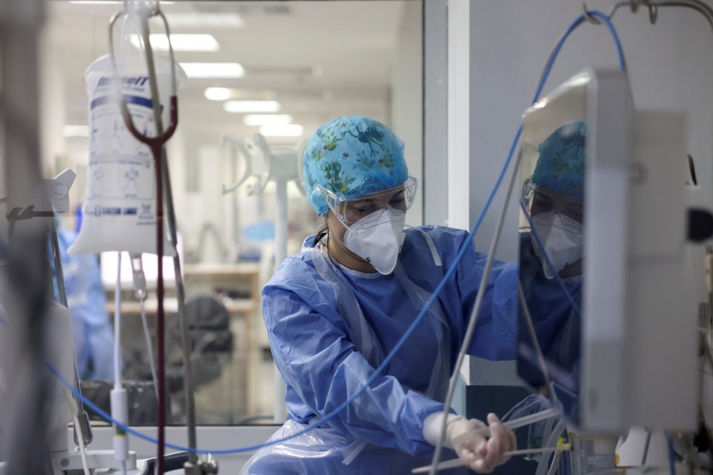 Ένας μύκητας προκαλεί ανησυχία – Πώς σχετίζεται με την άνοδο της θερμοκρασίας