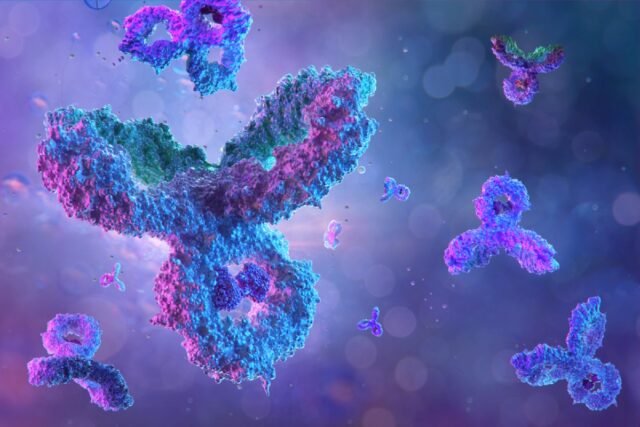 Autoimmune Antibodies