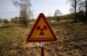 Καλαμπόκι από το Τσερνόμπιλ; Κατάλληλη για γεωργία η γη γύρω από τον πυρηνικό σταθμό, λέει μελέτη