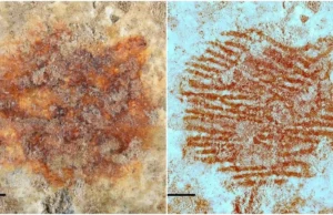 Το αρχαιότερο δαχτυλικό αποτύπωμα στον κόσμο αποκαλύπτει ότι οι Νεάντερταλ ήταν… καλλιτέχνες