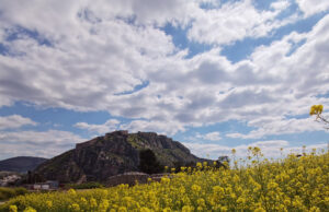 Το φως της ημέρας μπορεί να ενισχύσει την ικανότητα του ανοσοποιητικού συστήματος
