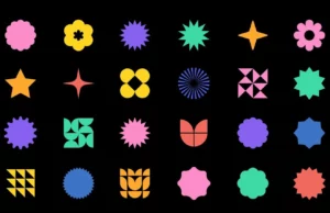 Το ζώο που ακύρωσε γεωμετρική μοναδικότητα του ανθρώπου