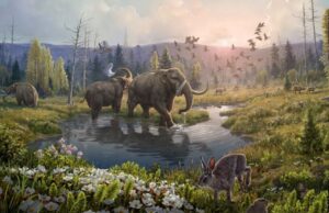 Τα ξενικά είδη που εισβάλουν σε οικοσυστήματα προκάλεσαν οικονομική ζημιά 1,5 τρισ. ευρώ στην Ευρώπη