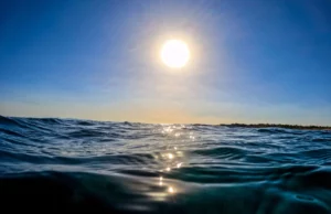 Οι ωκεανοί… σκοτεινιάζουν και απειλούνται τα θαλάσσια οικοσυστήματα αλλά και οι άνθρωποι