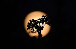 Πανσέληνος Μαΐου: Πότε θα δούμε το “Φεγγάρι των Λουλουδιών”