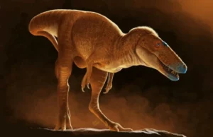 Ιδού ο «Πρίγκιπας Δράκος» που ξαναγράφει την ιστορία των Τυραννόσαυρων