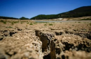 Κάθε λεπτό χάνεται έκταση γης ίση με τέσσερα γήπεδα ποδοσφαίρου