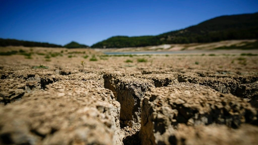 Κάθε λεπτό χάνεται έκταση γης ίση με τέσσερα γήπεδα ποδοσφαίρου