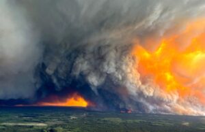 Το 2024 έφερε ρεκόρ στις απώλειες δασών – Η κλιματική αλλαγή βασικός λόγος