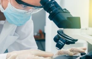 Τοξικός μύκητας της κατάρας των Φαραώ μετατρέπεται σε φάρμακο κατά της λευχαιμίας