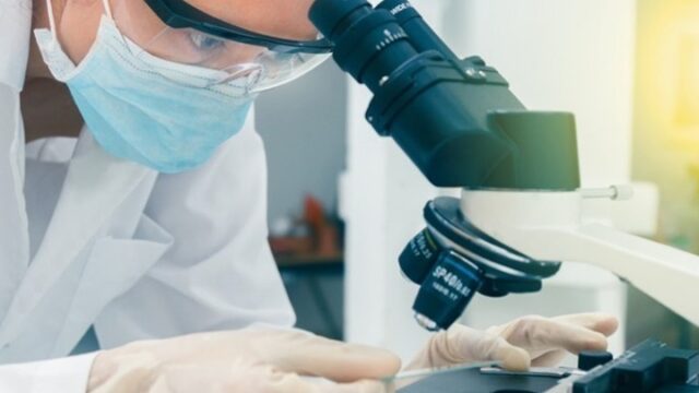 Τοξικός μύκητας της κατάρας των Φαραώ μετατρέπεται σε φάρμακο κατά της λευχαιμίας