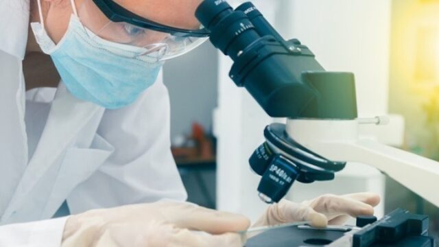 Μελέτη συνδέει την κατανάλωση νανοπλαστικών με αλλαγές στον μεταβολισμό και την ηπατική λειτουργία