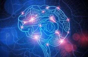 Οι αναμνήσεις ταξιδεύουν στον εγκέφαλο αλλάζοντας νευρώνες