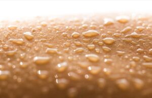 Νέα μελέτη αποκαλύπτει πώς πραγματικά σχηματίζεται ο ιδρώτας