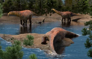 Άγνωστος τεράστιος δεινόσαυρος ανακαλύφθηκε στην Αργεντινή