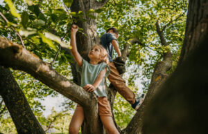 Στάχτη χθες, δάση αύριο. Το μέλλον της ορεινής Λεμεσού