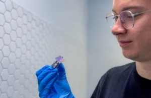 Κβαντική μπαταρία με ακαριαία φόρτιση και 1.000 φορές μεγαλύτερη χωρητικότητα ανέπτυξαν ερευνητές