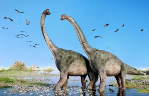 Άγνωστο είδος γιγάντιων δεινοσαύρων ανακαλύφθηκε στην Κίνα