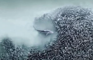 Οι πιο εντυπωσιακές αεροφωτογραφίες του πλανήτη σε έναν νέο διαγωνισμό