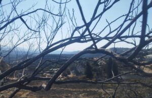 To 1,3% του νησιού έχει κάψει η καταστροφική πυρκαγιά, σύμφωνα με τον «Ερατοσθένη»