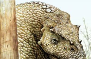 Άγνωστος πανάρχαιος και παράξενος δεινόσαυρος ανακαλύφθηκε στην Κίνα