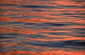 «Η Μεσόγειος βράζει»: Η θερμοκρασία της επιφάνειας της θάλασσας στο υψηλότερο σημείο που έχει καταγραφεί