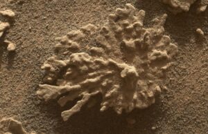 «Κοράλλι» στον Άρη; Τι πραγματικά φωτογράφισε το Curiosity