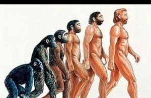 Ανακαλύφθηκε στην Αιθιοπία άγνωστος συγγενής των ανθρώπων