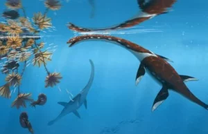 Ανακαλύφθηκε στη Γερμανία σπάνιος αρχέγονος πλησιόσαυρο