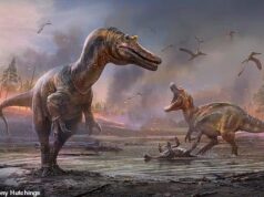 Αποκαλύφθηκαν οι τρομακτικοί μηχανισμοί εξόντωσης θηραμάτων του Τυραννόσαυρου και άλλων μεγάλων δεινοσαύρων