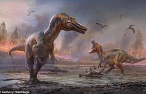 Αποκαλύφθηκαν οι τρομακτικοί μηχανισμοί εξόντωσης θηραμάτων του Τυραννόσαυρου και άλλων μεγάλων δεινοσαύρων