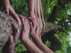 Στήριξη στους πυρόπληκτους της ορεινής Λεμεσού